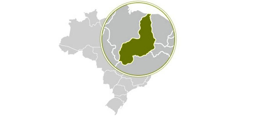 agua-branca-regeneracao-floriano-canto-do-buriti-sao-joao-do-piaui-e-sao-raimundo-nonato