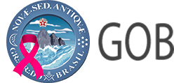 logo-gob-brasilia-df-selo-rosa